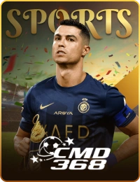 cmd 368 sports